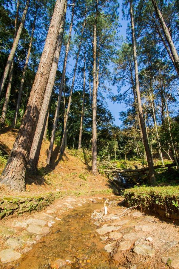 Villaggio Serra Da Cantareira Mairiporã Dış mekan fotoğraf